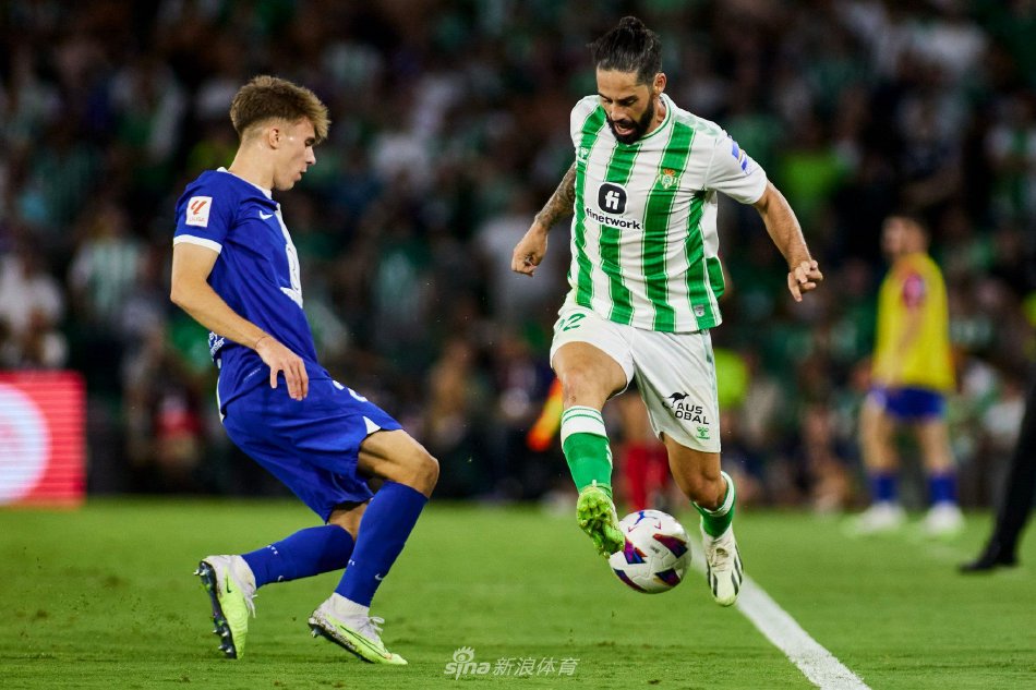 仅意味着中 仅意味着中